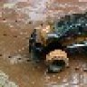 Bkarpenter