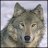 TWolff