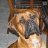 Buddy's B4000