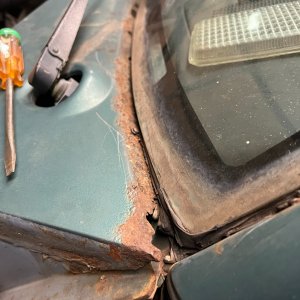 IMG_0401.JPEG
