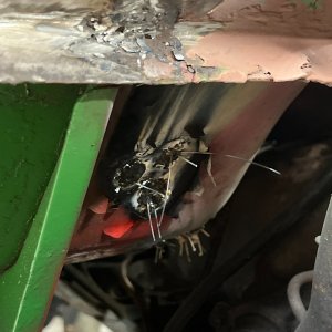 IMG_3696.JPEG
