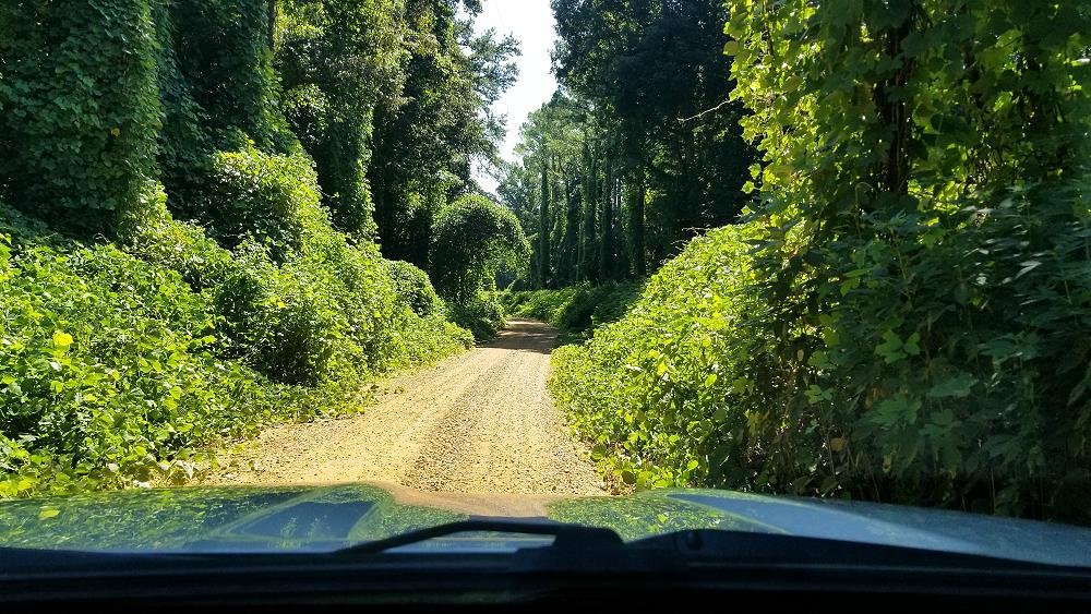 2019_ford_ranger_trans_america_trail_08-16-2019-1.JPG