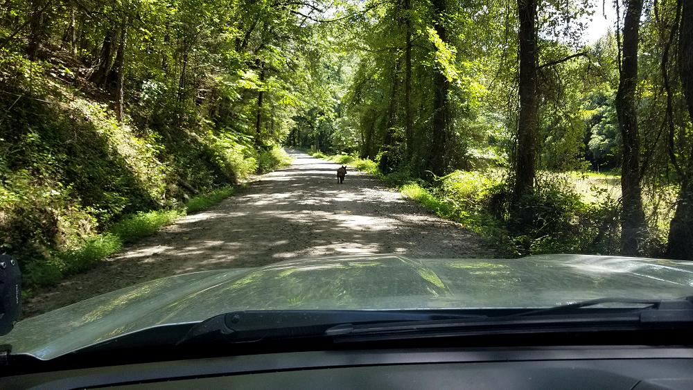 2019_ford_ranger_trans_america_trail_august-14-2019-8.JPG