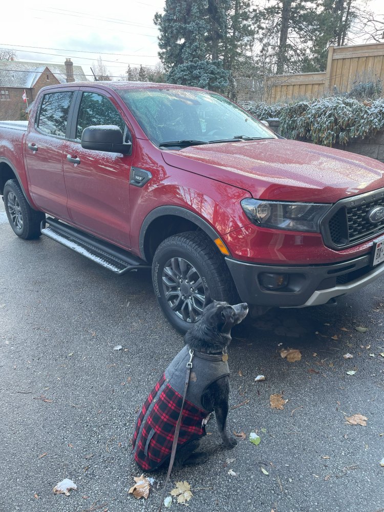 2020 Ford Ranger.jpg