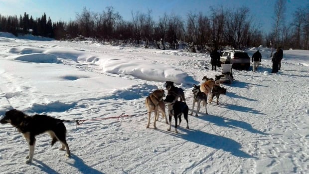 car-sled-dogs.jpg