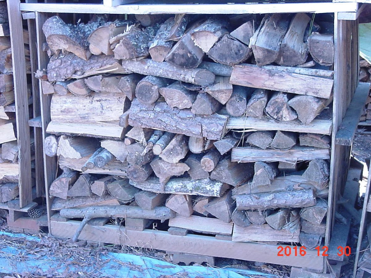firewood-pine-01.JPG