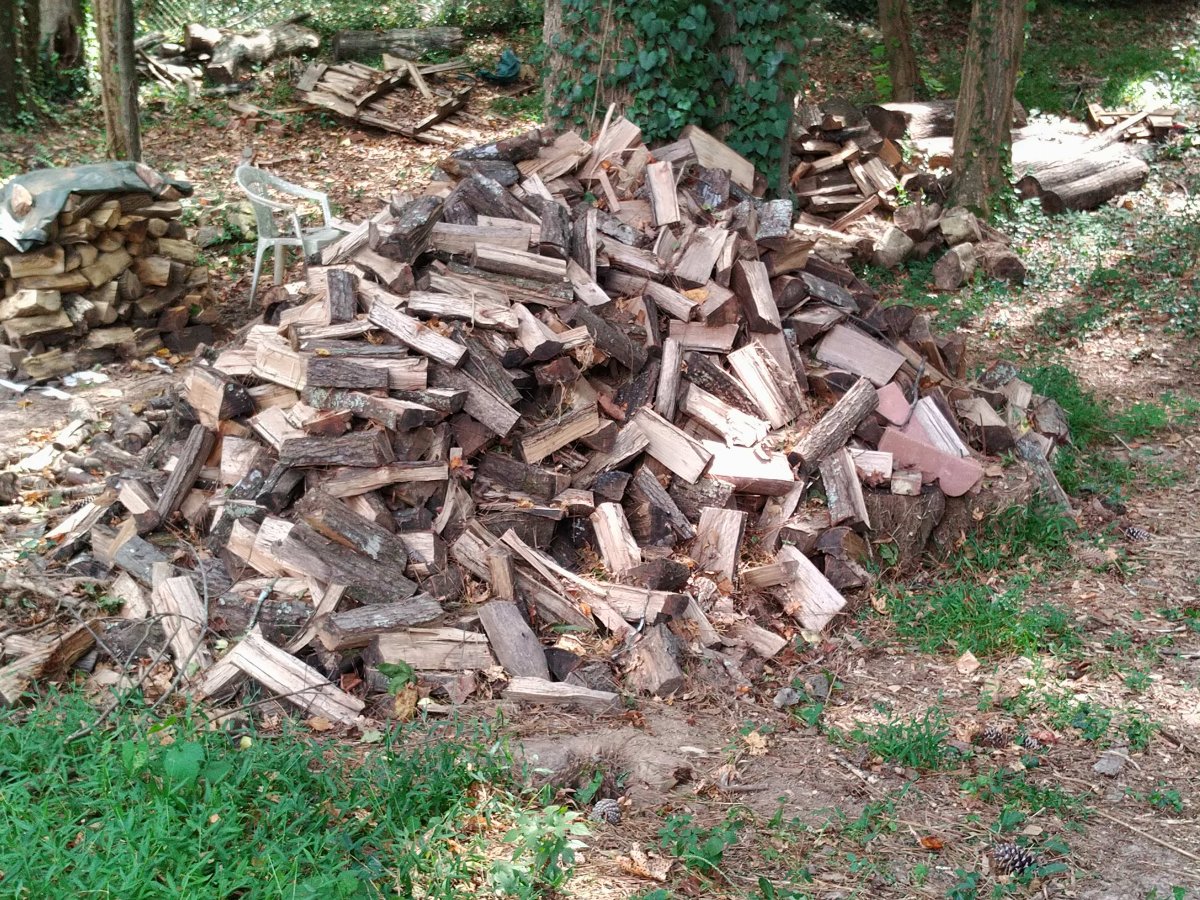 firewood_03.jpg