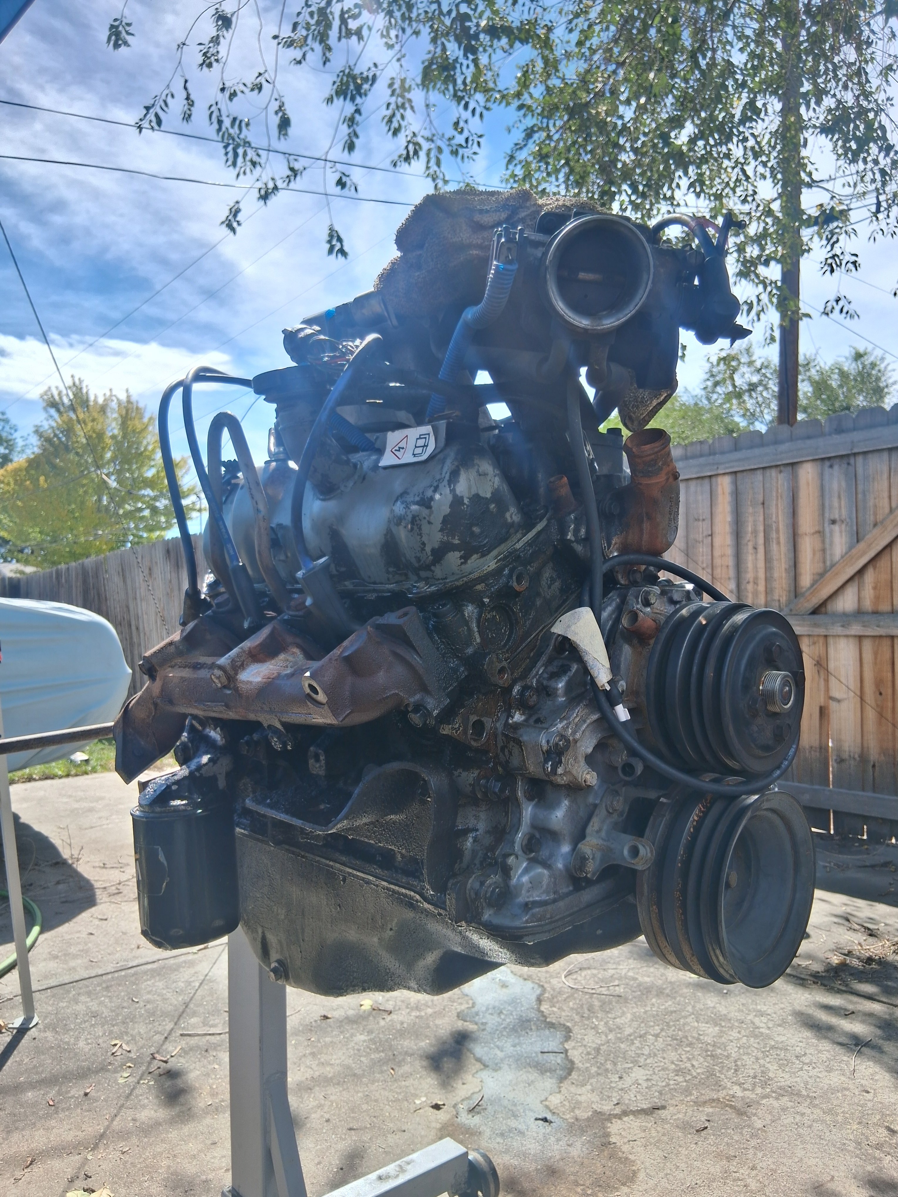 3829.jpg