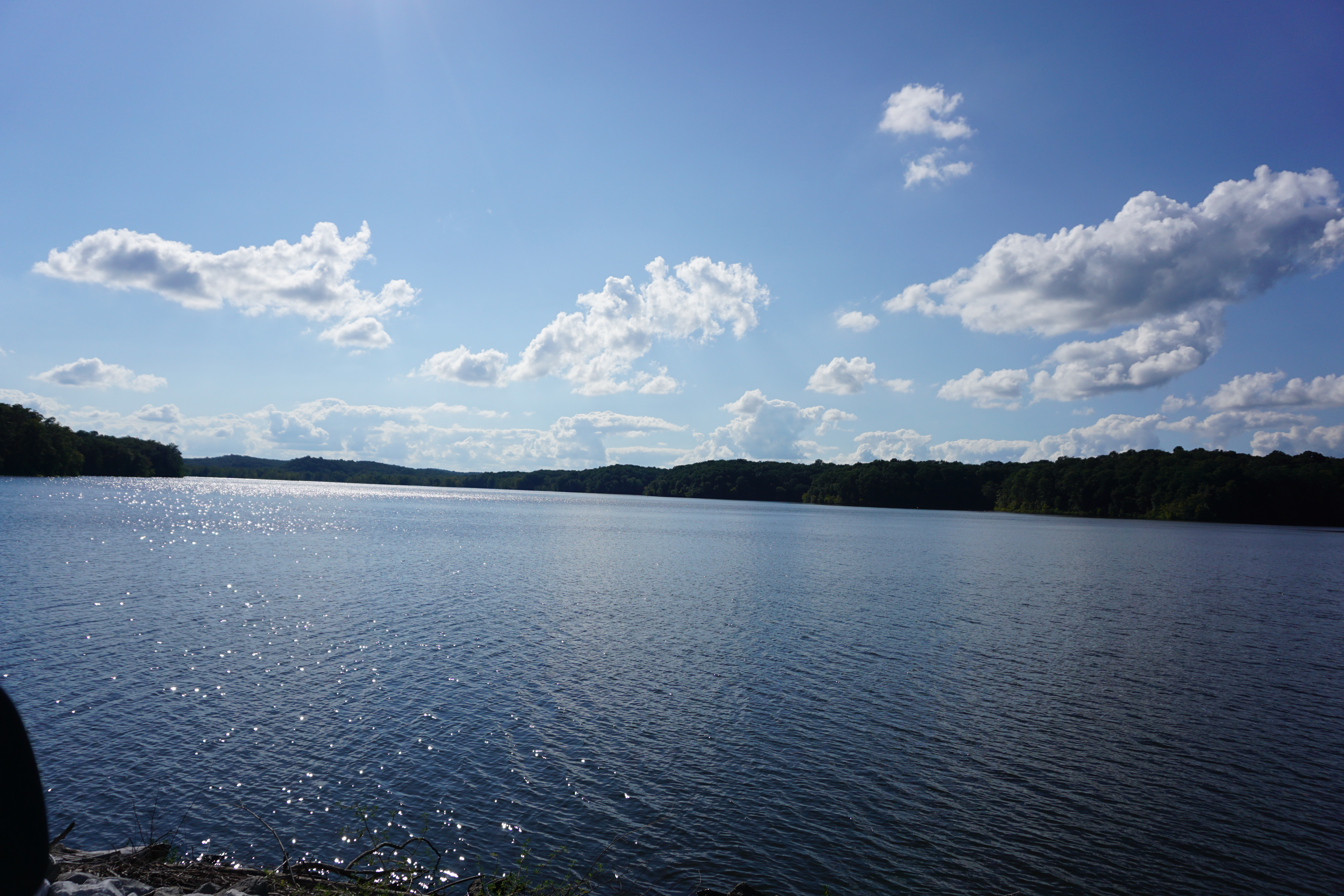 DSC06156.JPG