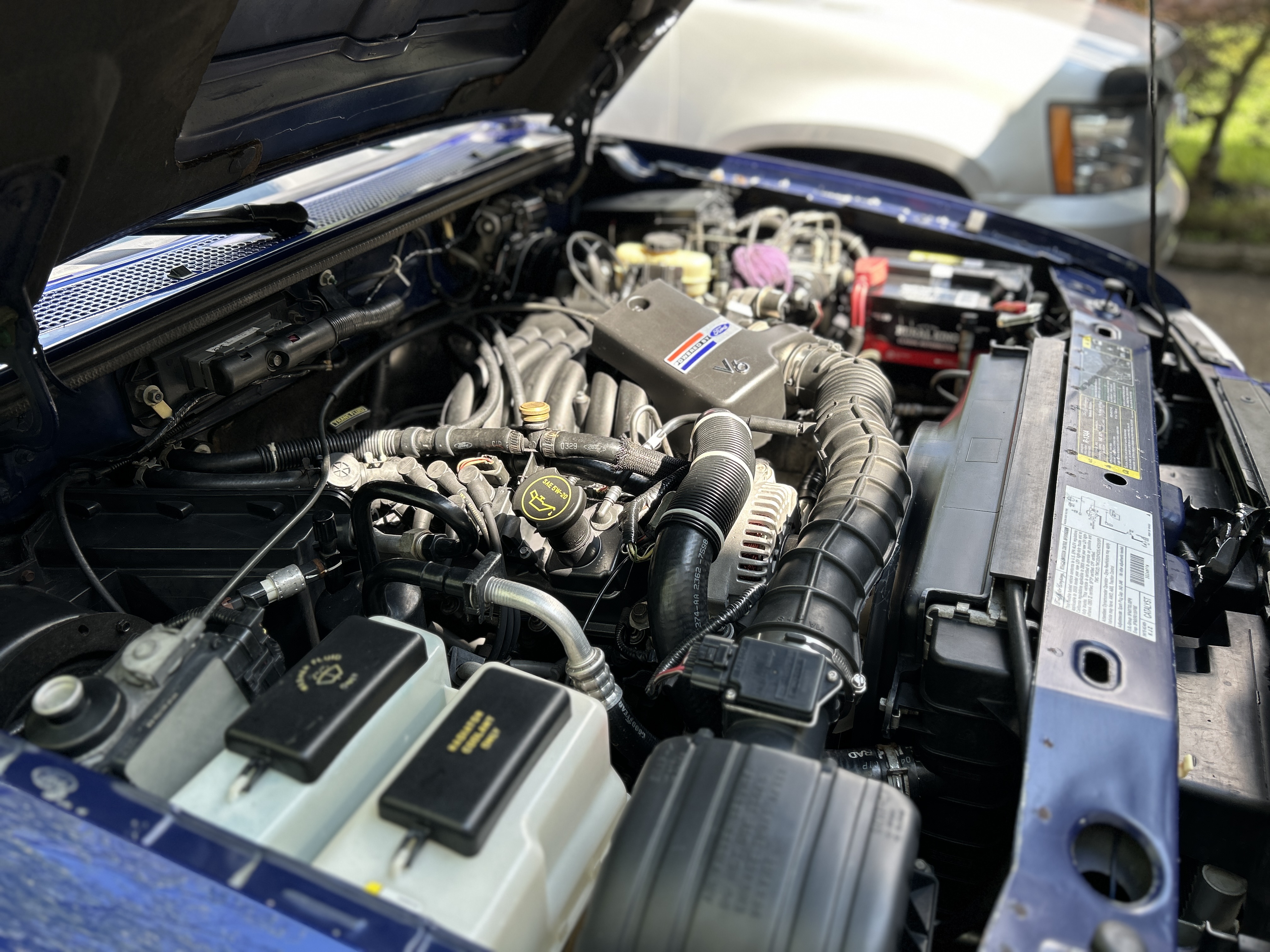 Engine Bay (1).JPG