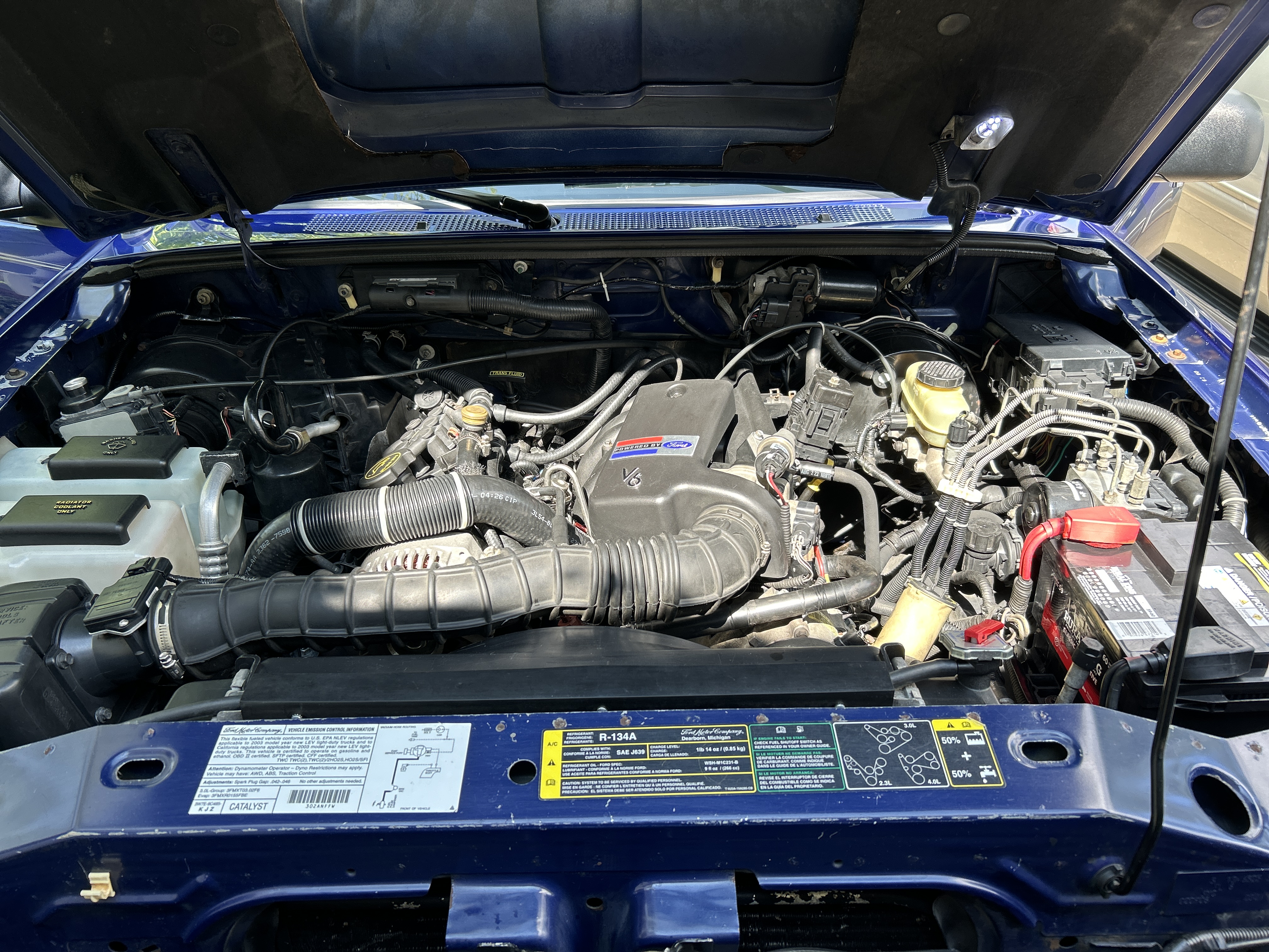 Engine Bay (3).JPG