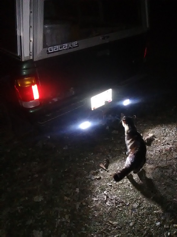 ranger reverse lights.jpg