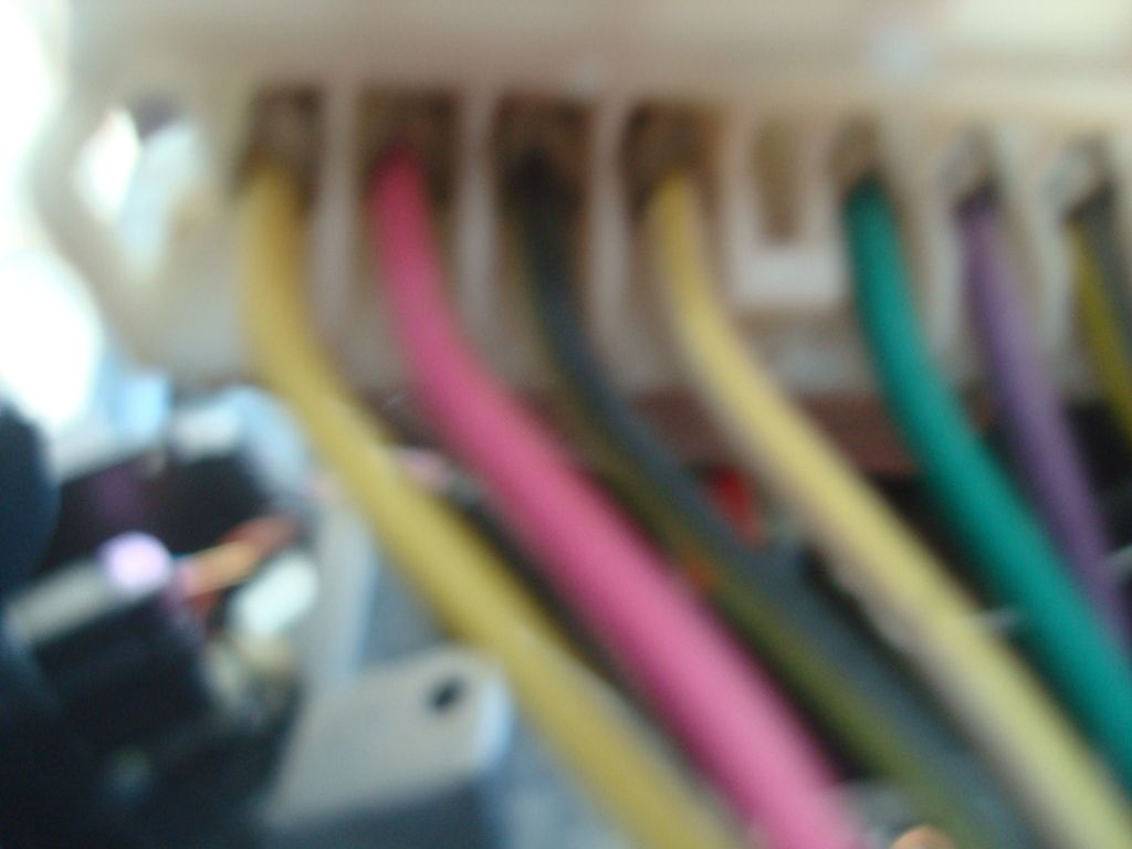 DSC04029_zpsvnd5tvox.jpg