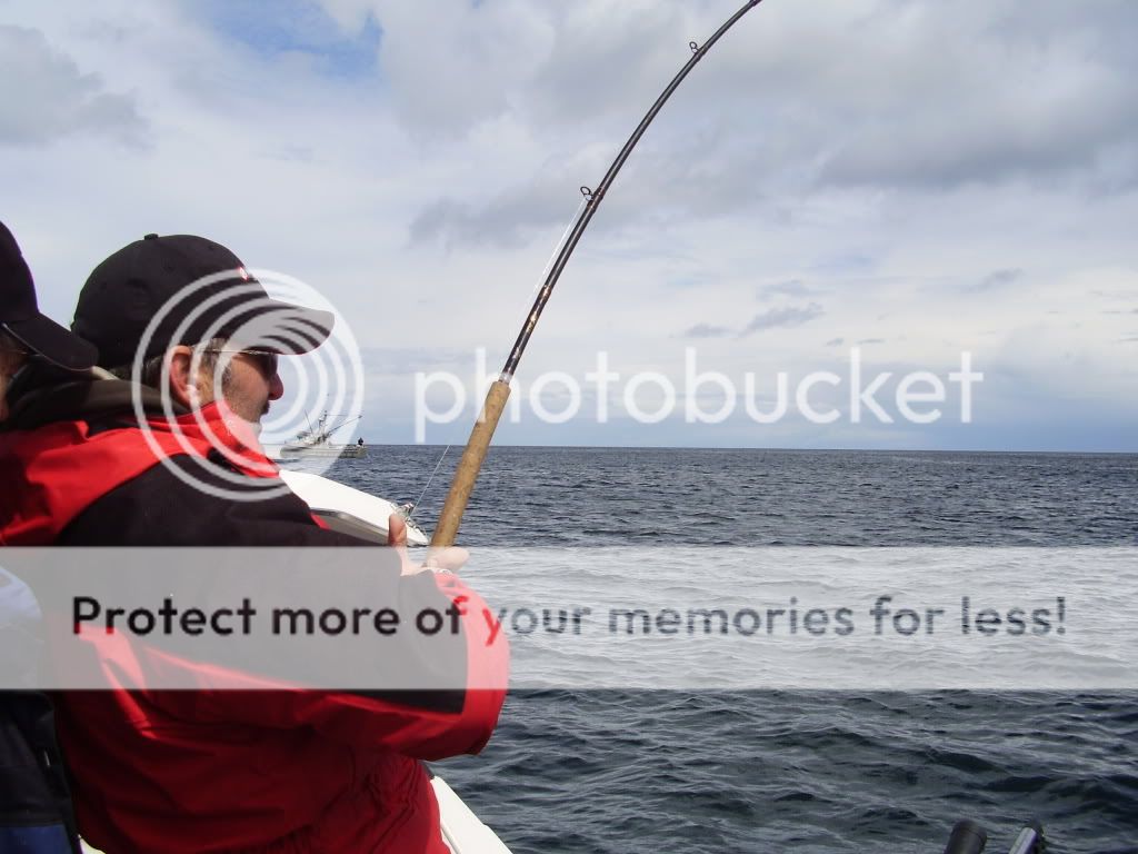 fish008.jpg