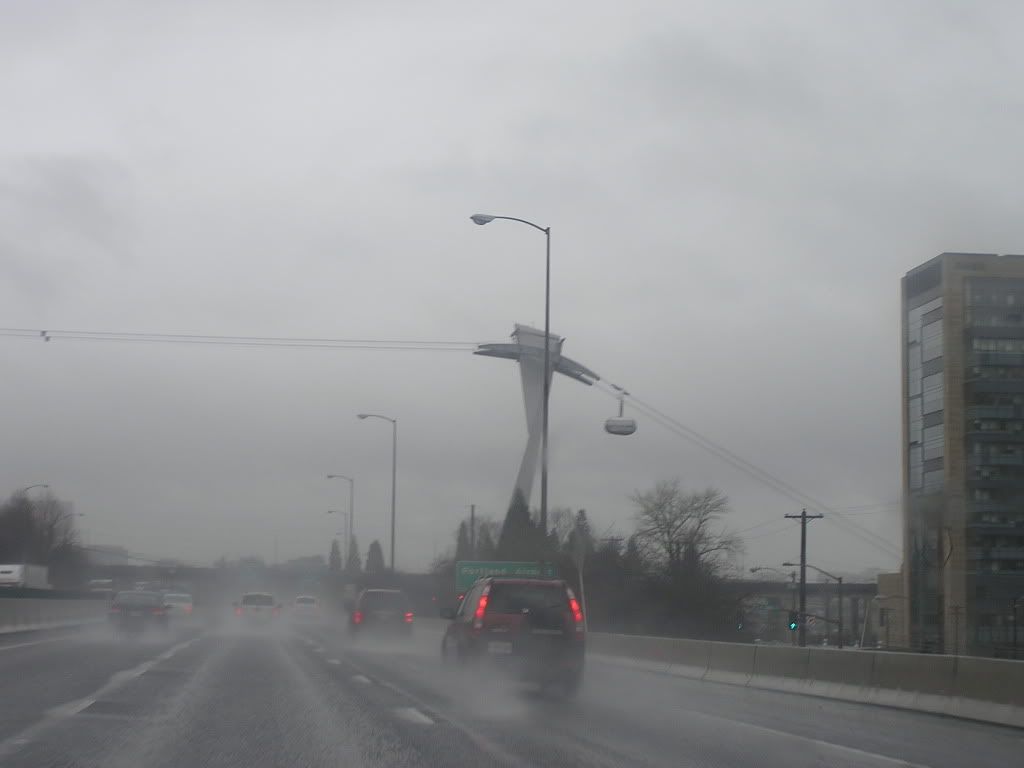 P1010024.jpg