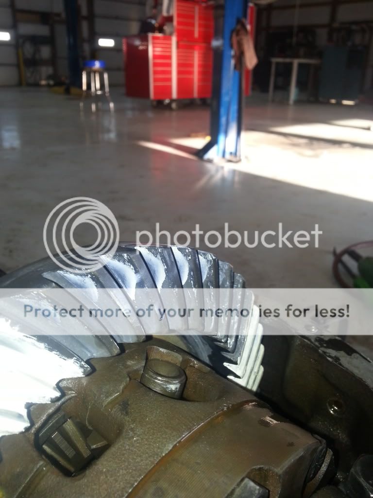 20140417_182653_zpsb3c14080.jpg