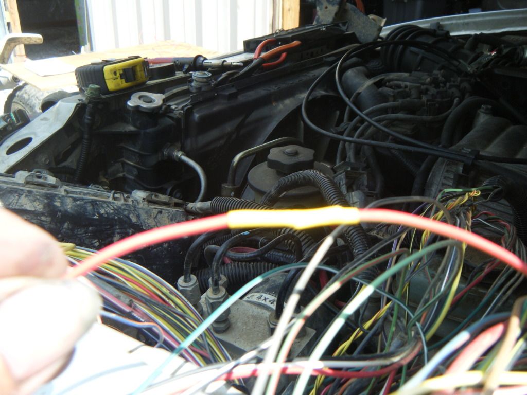 DSCF5619.jpg