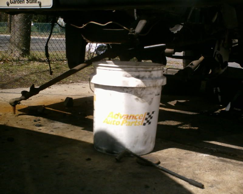 SUNP0008.jpg