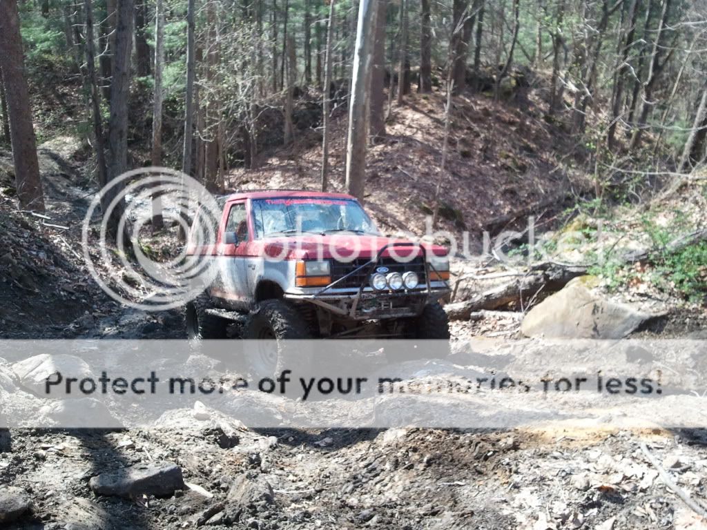 2011-03-27145237.jpg