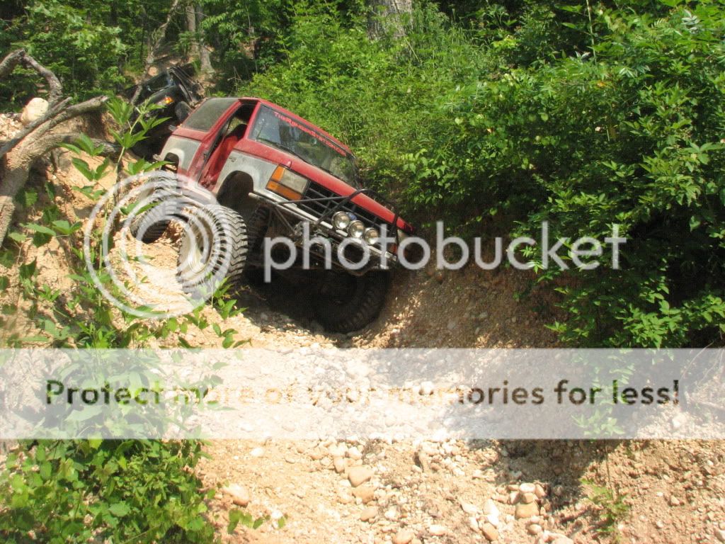 IMG_2071.jpg