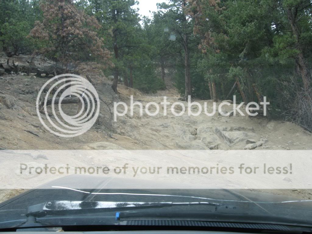 IMG_3084.jpg