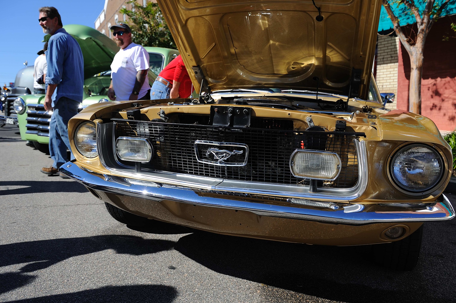 DSC0135-X3.jpg