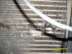 1_SDC10036.JPG