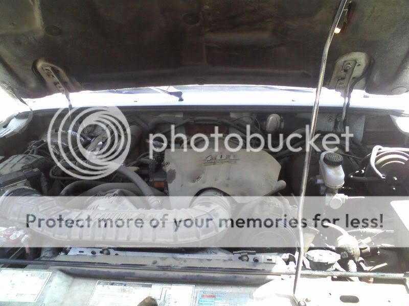Picture001.jpg