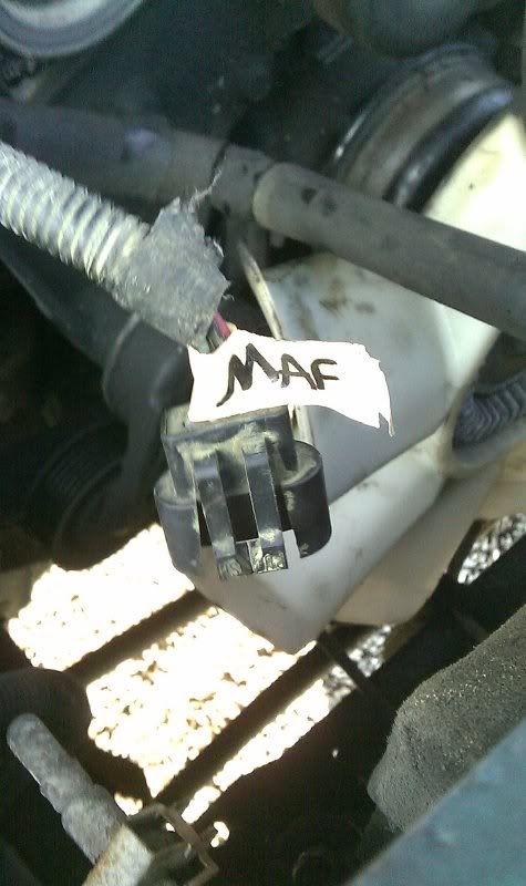 IMAG0562.jpg
