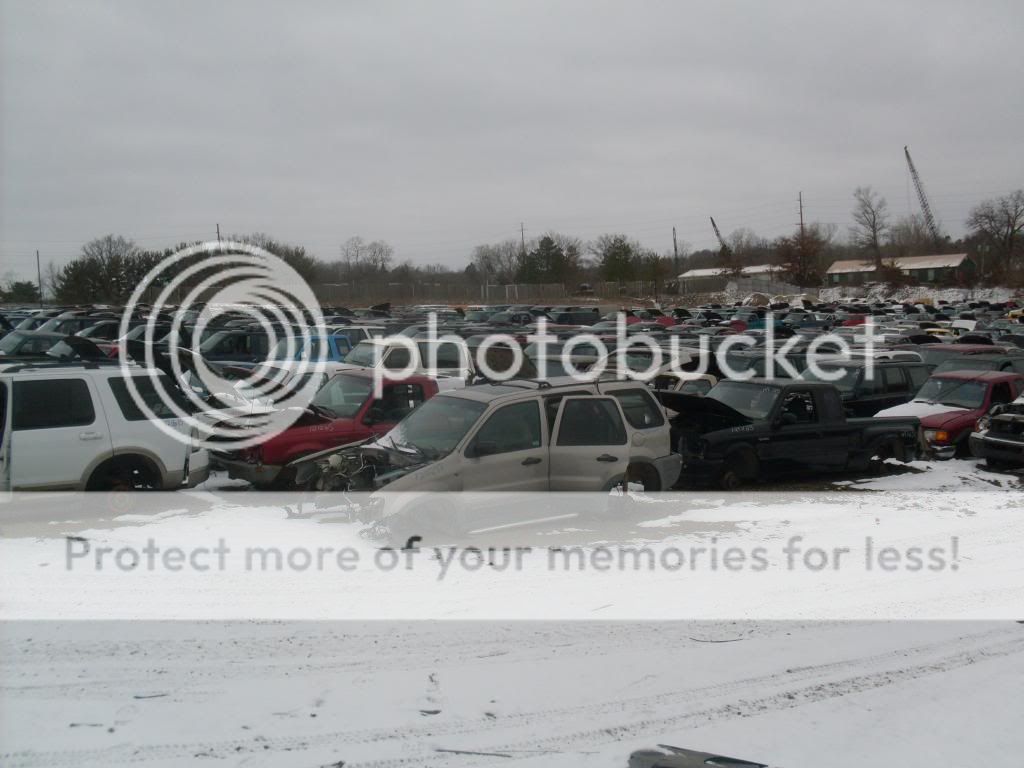 SDC13143_zps18ea8613.jpg
