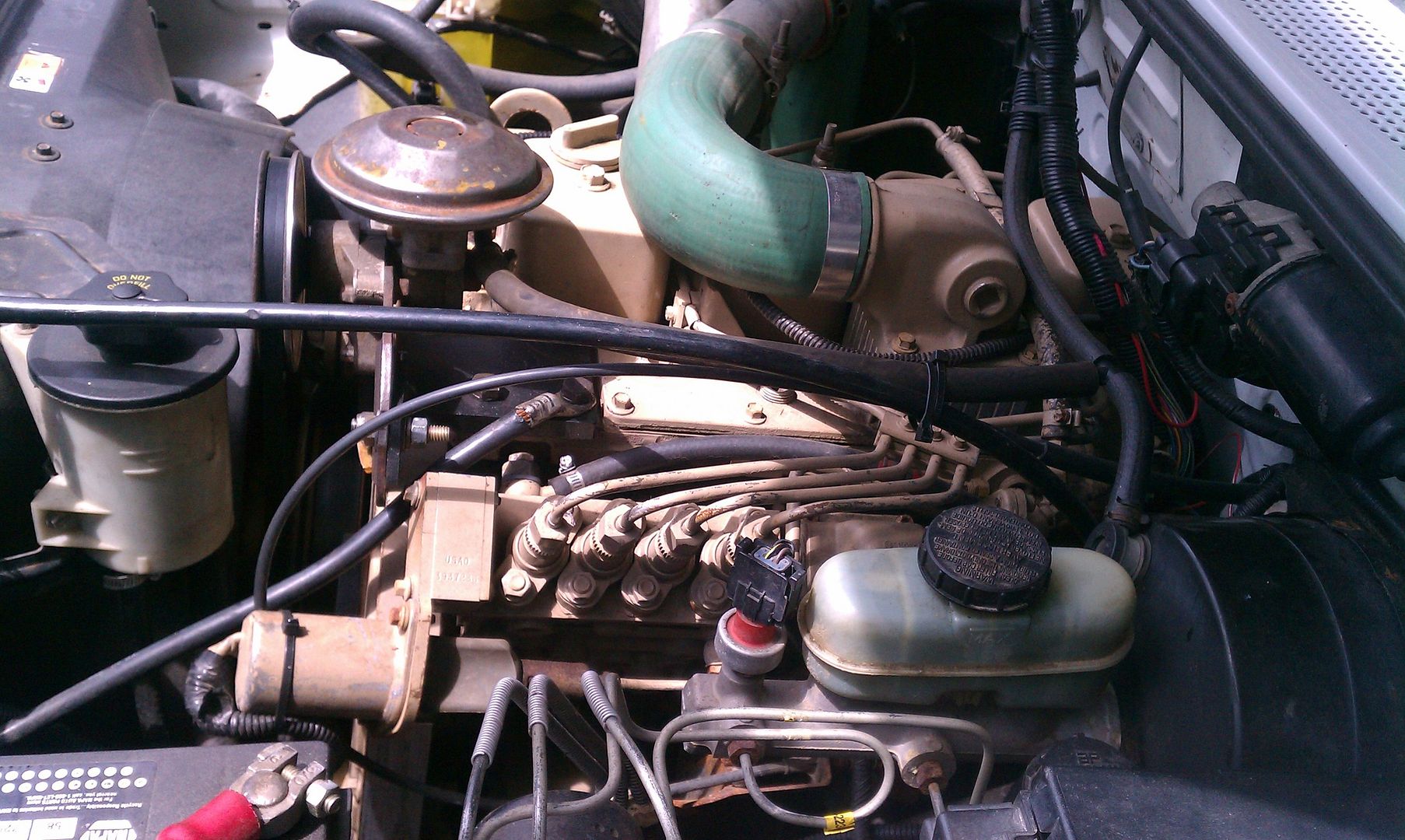 IMAG0642.jpg