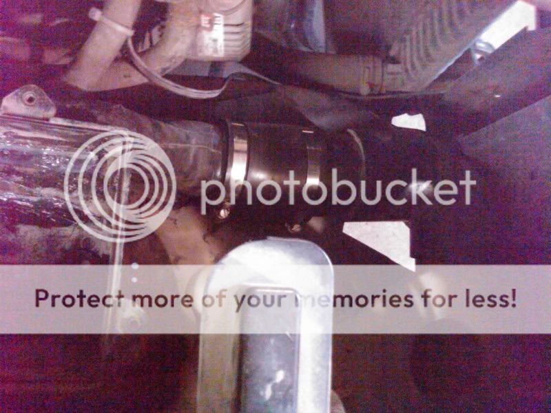IMG00808-20110416-1814.jpg
