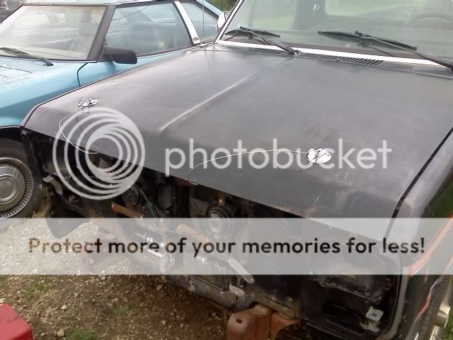 83' Ranger 351w Project