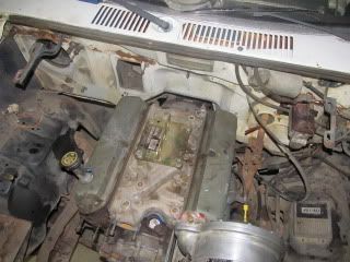 IMG_0420-1.jpg