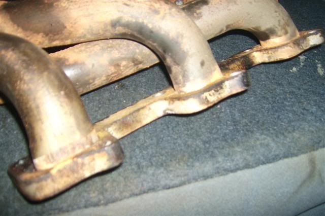 headers2.jpg