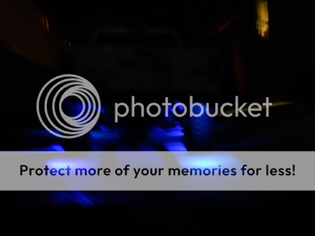 lights021.jpg