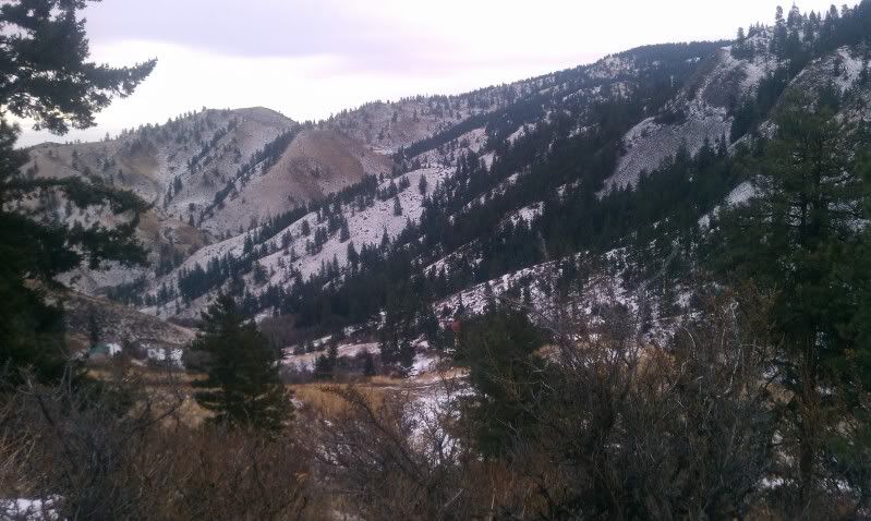 IMAG0093.jpg