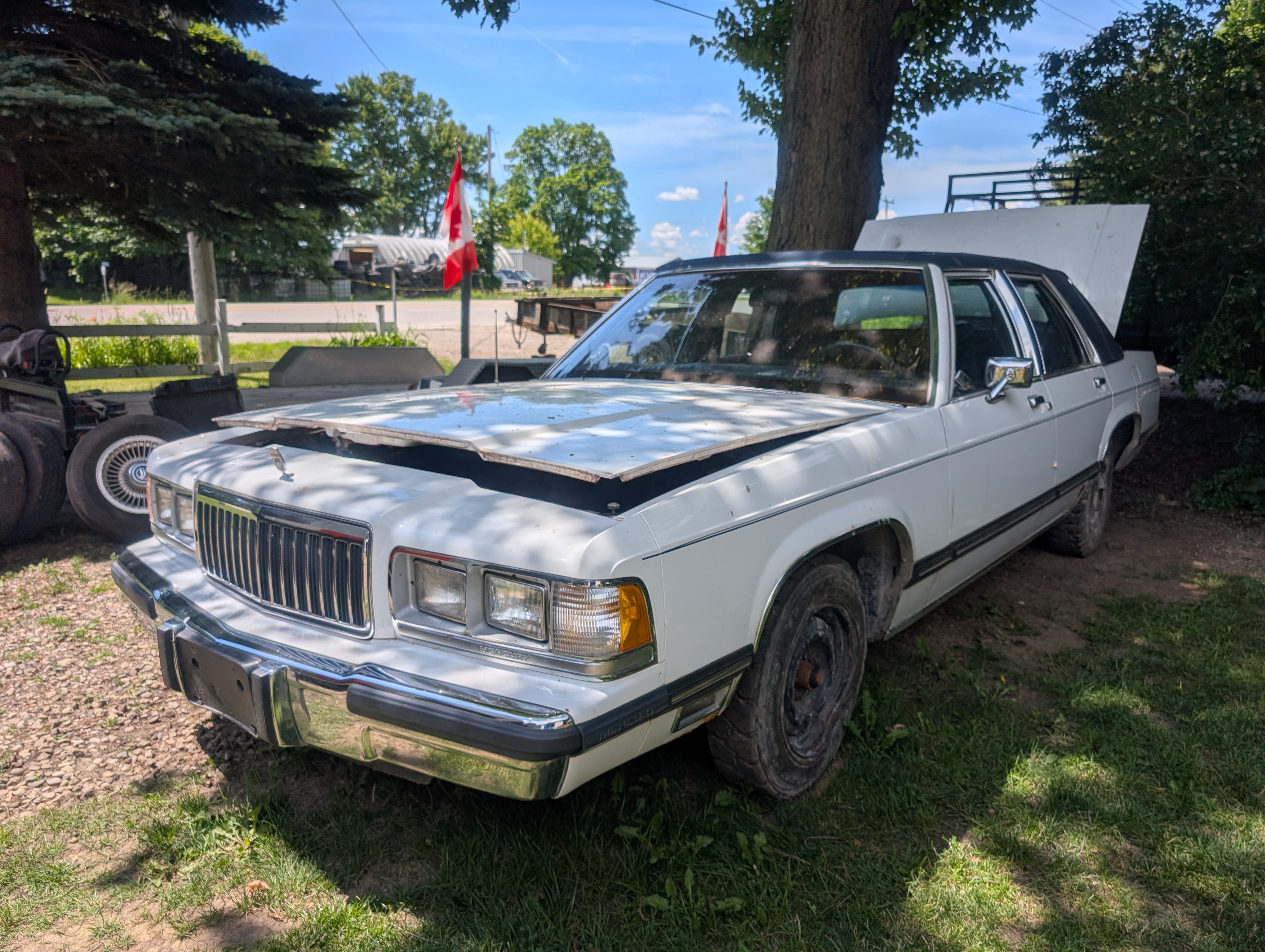 Detroit-area Junkyard Rangers - extremely pic-heavy