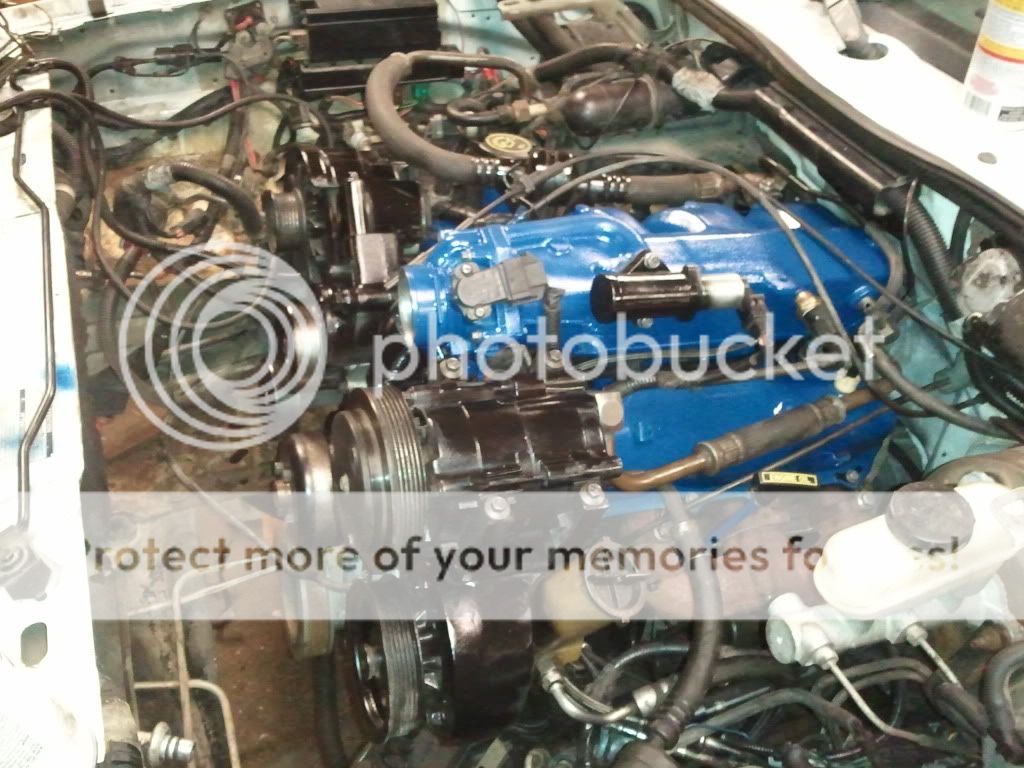 2011-06-12174139.jpg