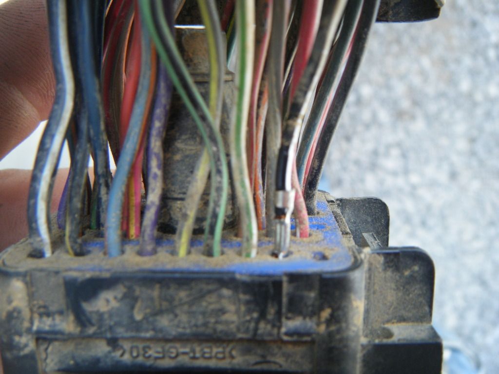 DSCF5615.jpg