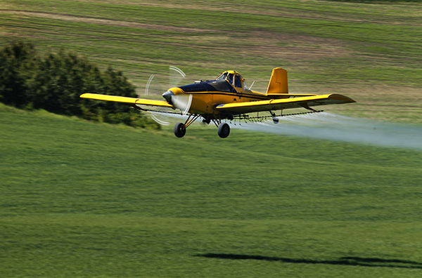 cropduster-600.jpg