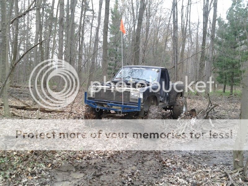 BuggyandRanger175.jpg