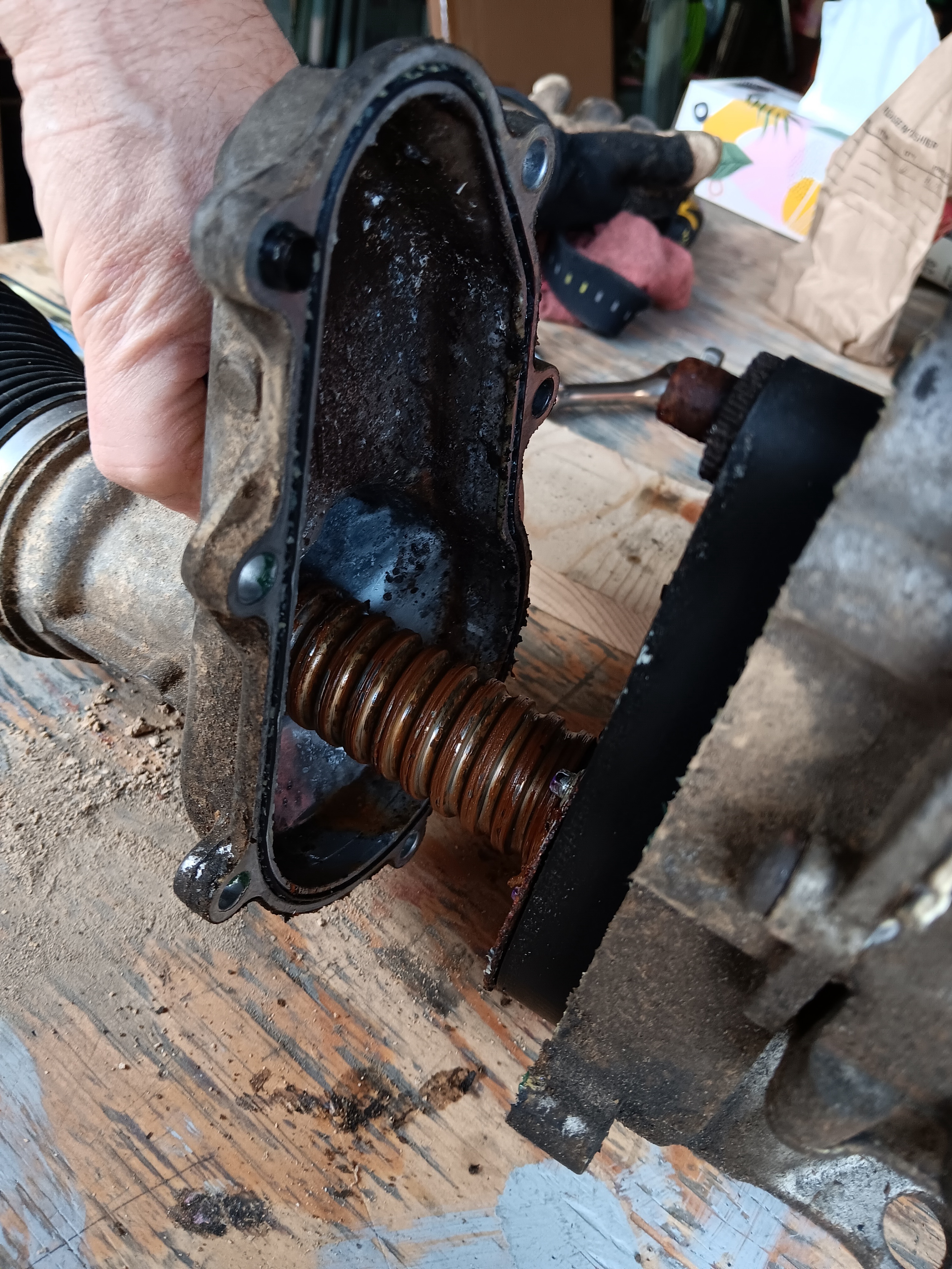 Sgtsandman's 2019 STX FX4