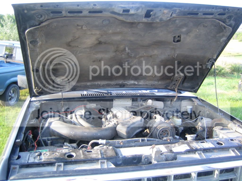 Project black betty(aka money pit)