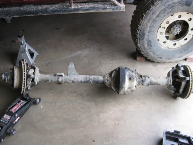 D44.jpg