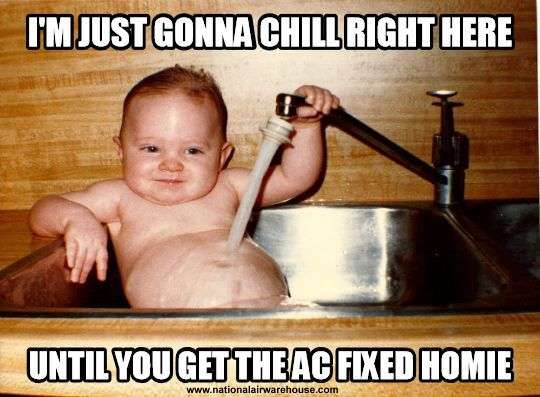 Funny HVAC image meme of baby in sink brought to you by  https://www.nationalairwarehous… | Funny happy birthday meme, Happy  birthday quotes funny, Funny baby quotes
