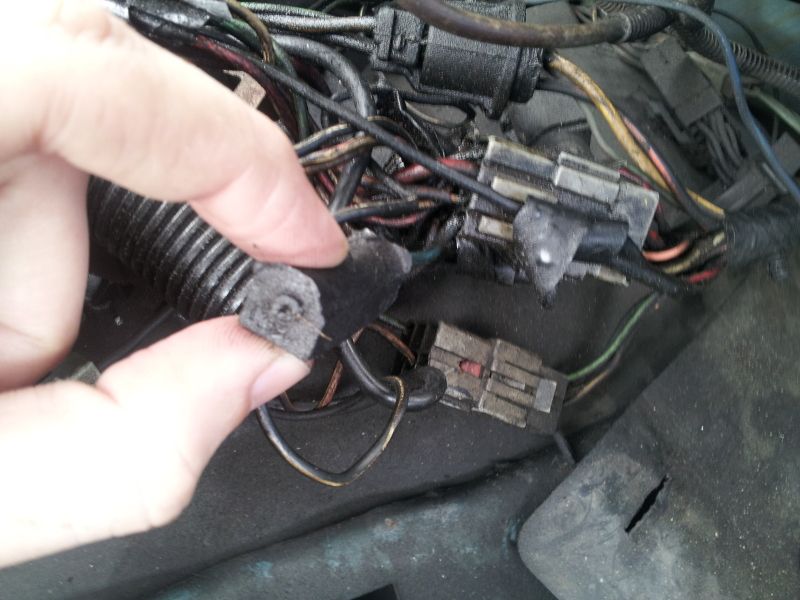 20120411_123746.jpg