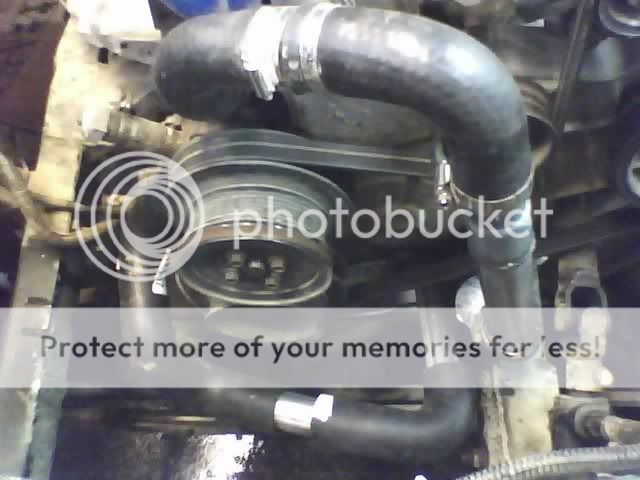 1205472653.jpg