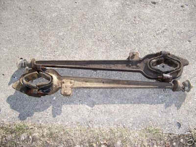 Dana4415.jpg