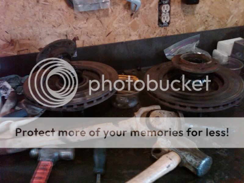 IMG00738-20110402-1127.jpg